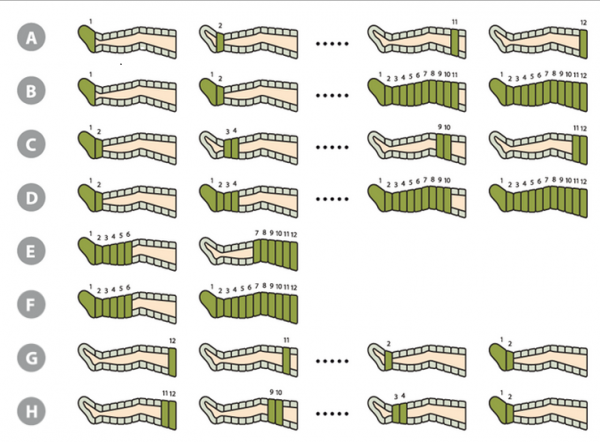 Lymphdrainage-DL1200H-Behandlungsprogramme