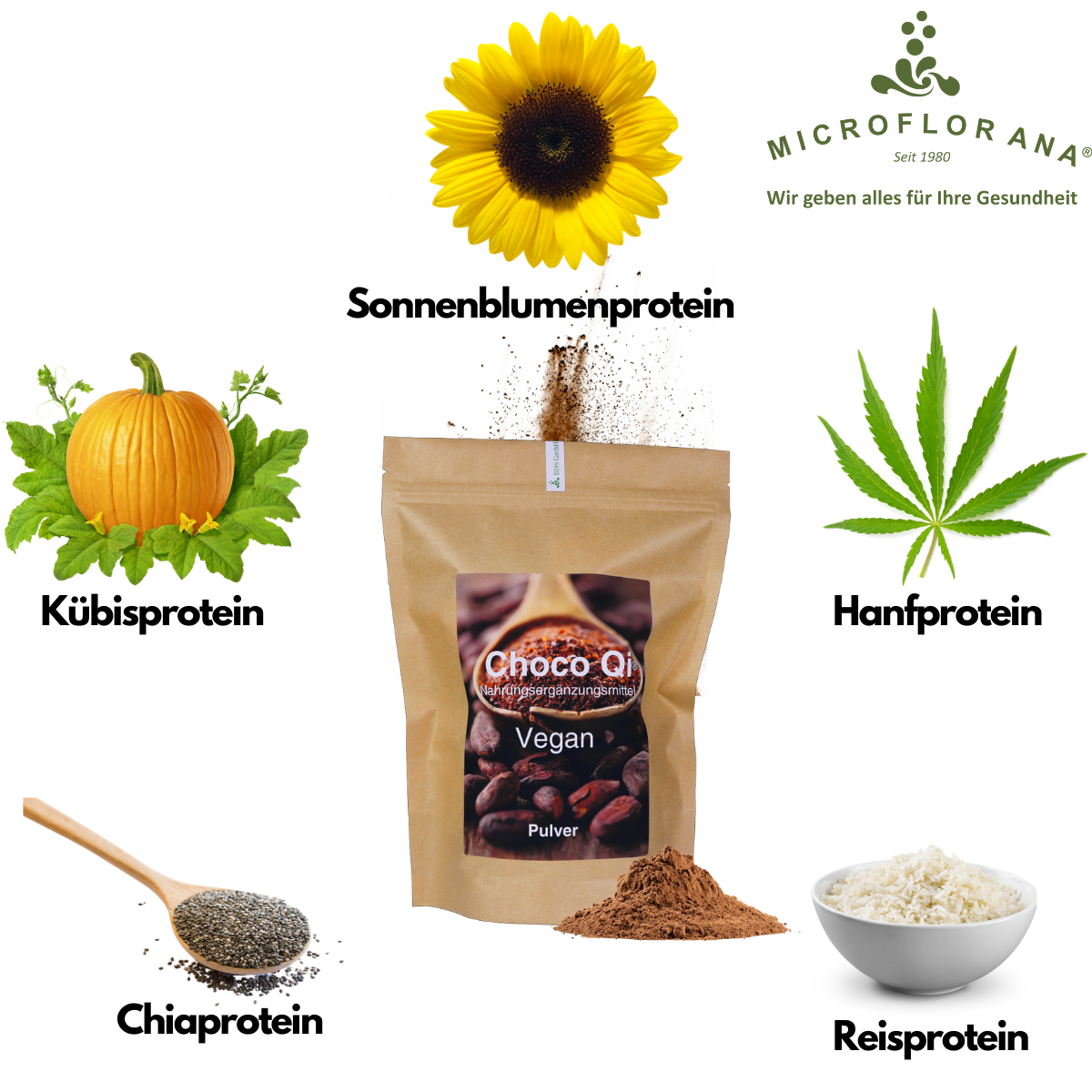 Choco Qi® Vegan mit viel Protein Proteine Choco Qi Vegan