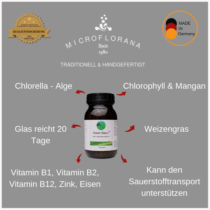 Green-Basic-Inhalt
