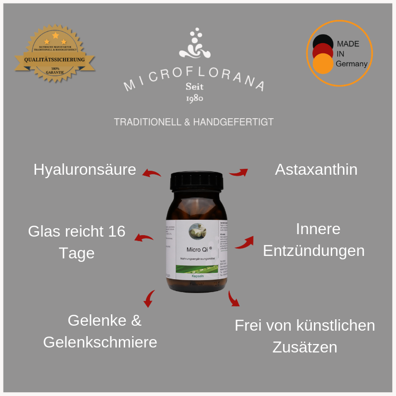 Zutaten-Micro-Qi-Kapseln