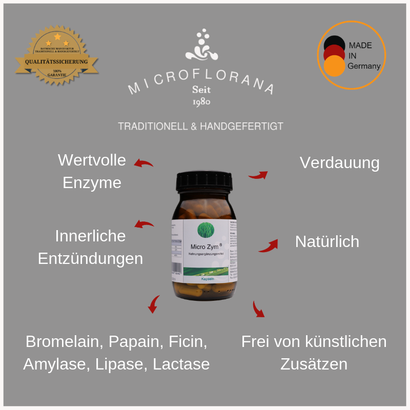 Zutaten-Micro-zym-Kapseln