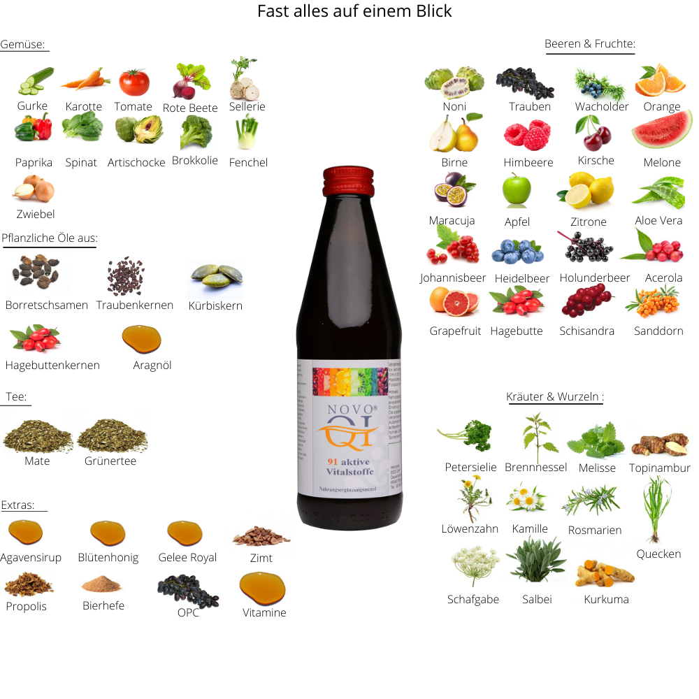 Novo Qi® - Vitalstoffkonzentrat mit vielen gesunden Zutaten Inhalt.NovaQi