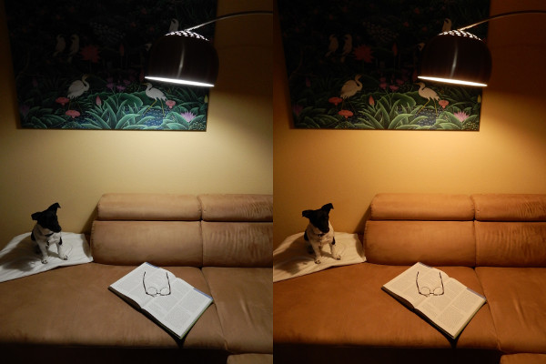 LED Lampe duolight