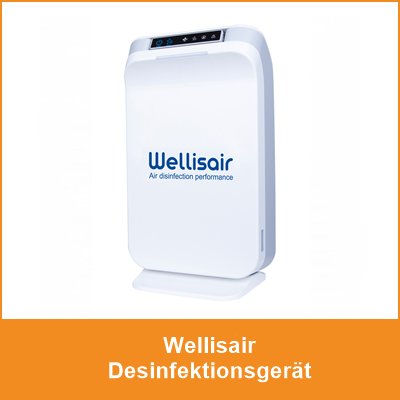 link-zu-wellisair