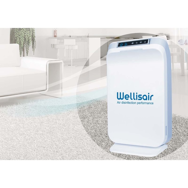 Wellisair price discount