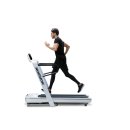Laufband Horizon Omega Z