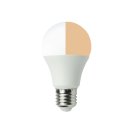 LED-Vollspektrum Tageslichtlampe Duo-Light | 8 Watt
