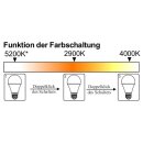 LED-Vollspektrum Tageslichtlampe Duo-Light | 8 Watt