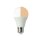 LED-Vollspektrum Tageslichtlampe Duo-Light | 8 Watt