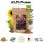 Choco Qi® Vegan Proteinpulver Schokolade