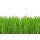 Green Basic ® Pulver | vegan