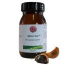 Fit Well Set - Micro Zym®, Micro C® & Micro Cor®