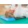 Balance-beam Mini Airex®