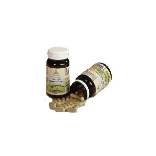 MicroQi, Gelenksnahrung, 100 Kapseln  50g